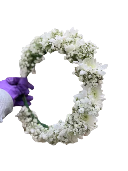 שקוף 8